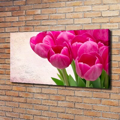 Fotobild Rosa Tulpen