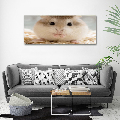 Fotobild Hamster