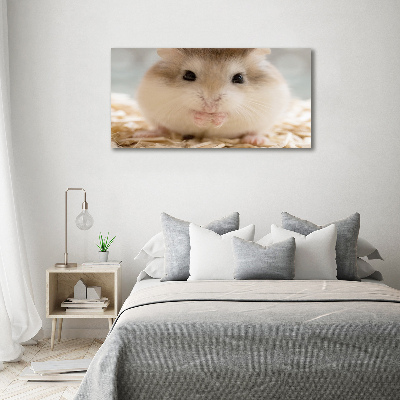 Fotobild Hamster