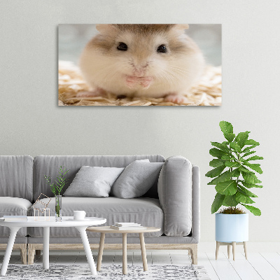 Fotobild Hamster