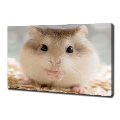 Fotobild Hamster