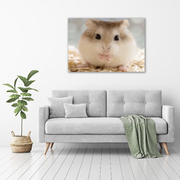 Fotobild Hamster
