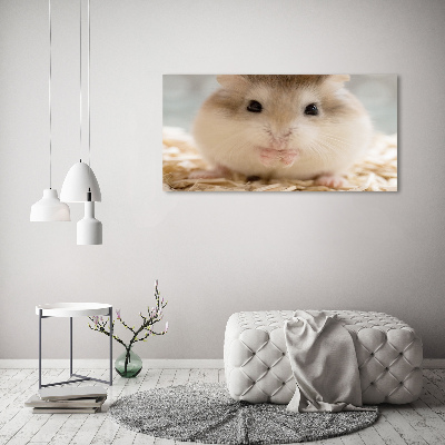 Fotobild Hamster