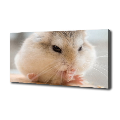 Bild auf leinwand Hamster