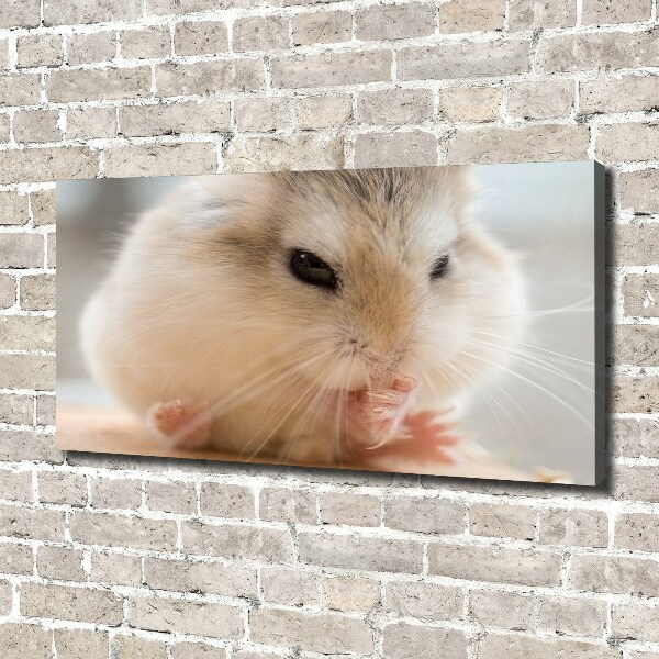 Bild auf leinwand Hamster