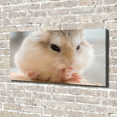 Bild auf leinwand Hamster