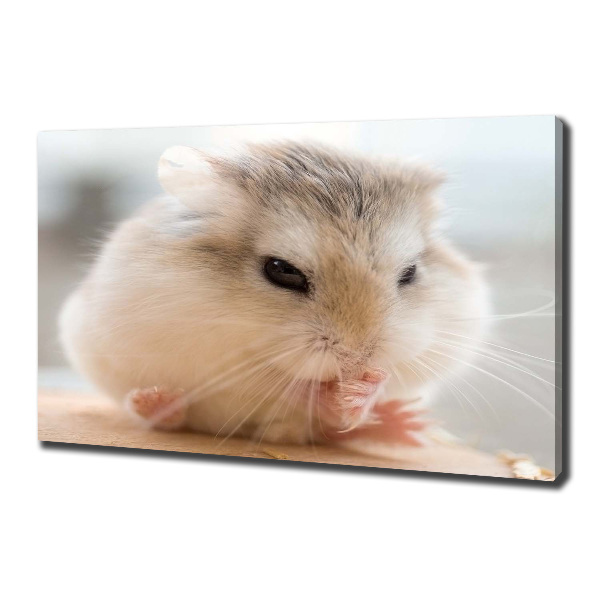 Bild auf leinwand Hamster