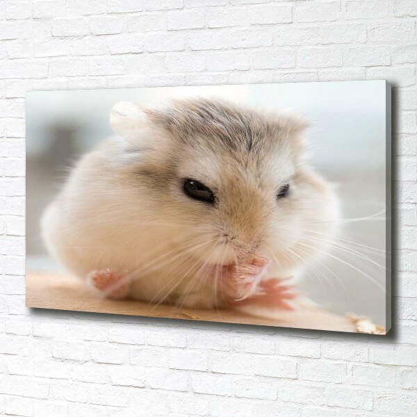Bild auf leinwand Hamster
