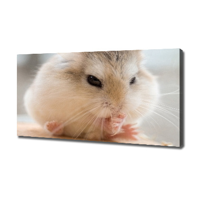 Bild auf leinwand Hamster