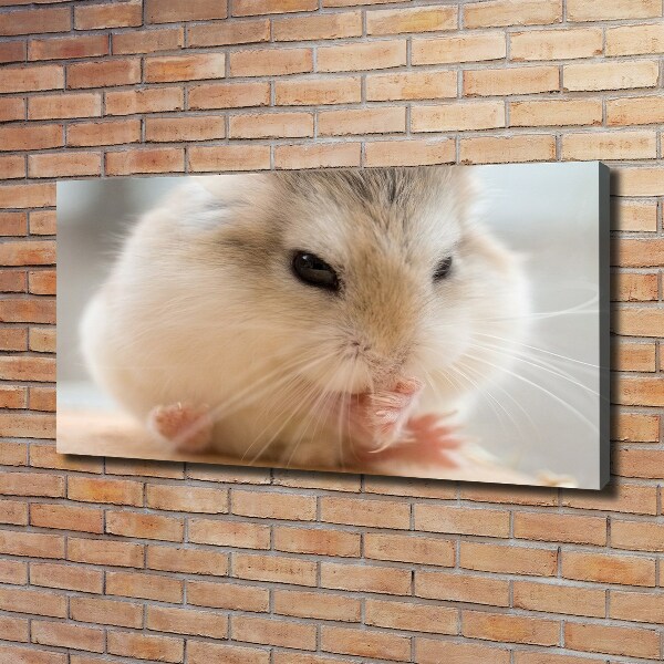 Bild auf leinwand Hamster