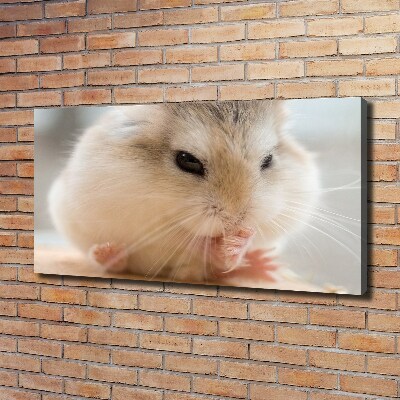 Bild auf leinwand Hamster