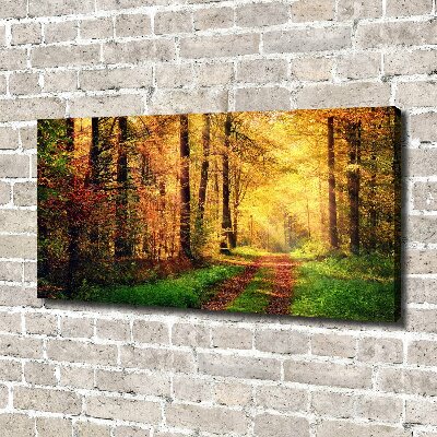 Wandbild Wald im Herbst