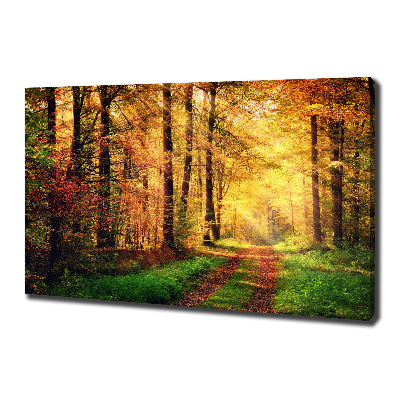Wandbild Wald im Herbst