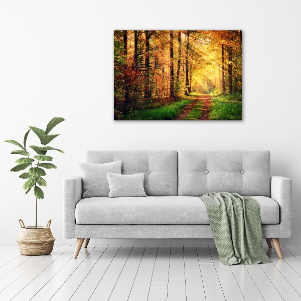 Wandbild Wald im Herbst