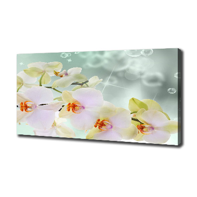 Wandbild Weiße Orchidee