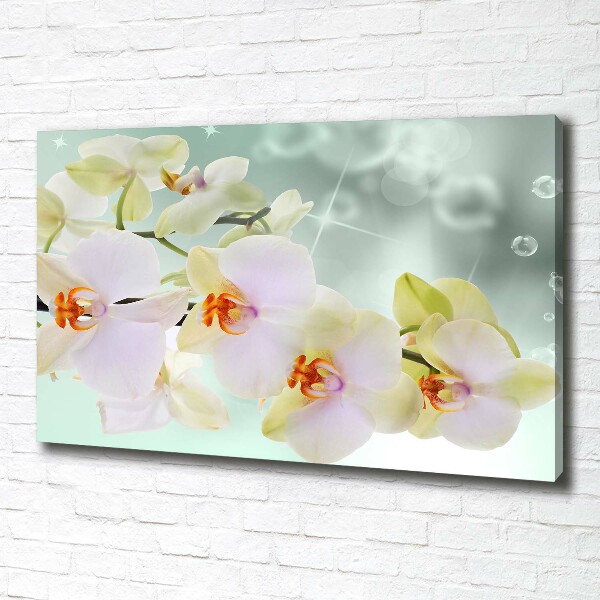 Wandbild Weiße Orchidee