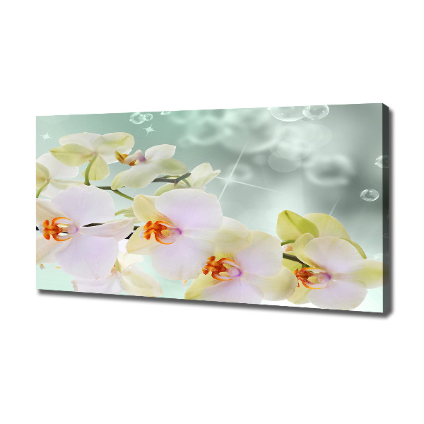Wandbild Weiße Orchidee