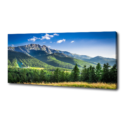 Wandbild Skisprungschanze in den Tatra-Bergen