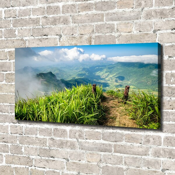 Fotobild Pfad zum Gipfel