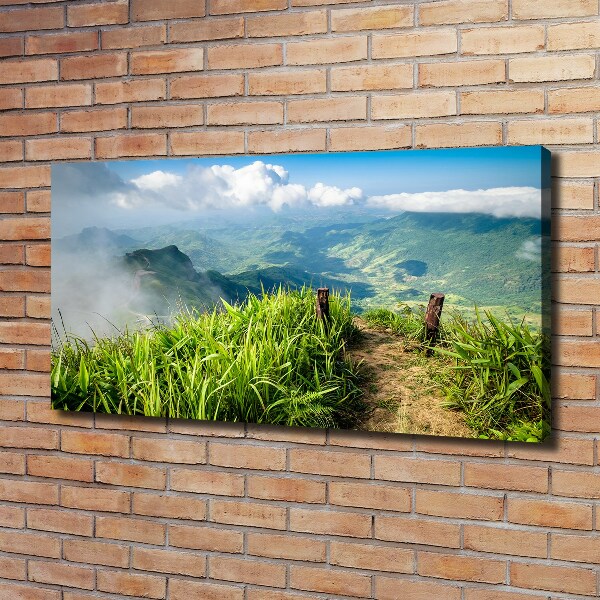 Fotobild Pfad zum Gipfel