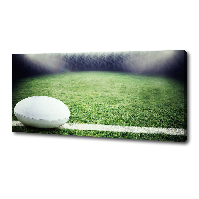 Fotobild Rugbyball
