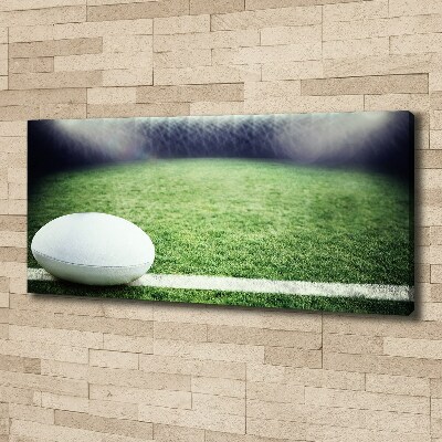 Fotobild Rugbyball