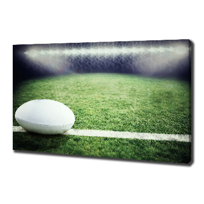 Fotobild Rugbyball