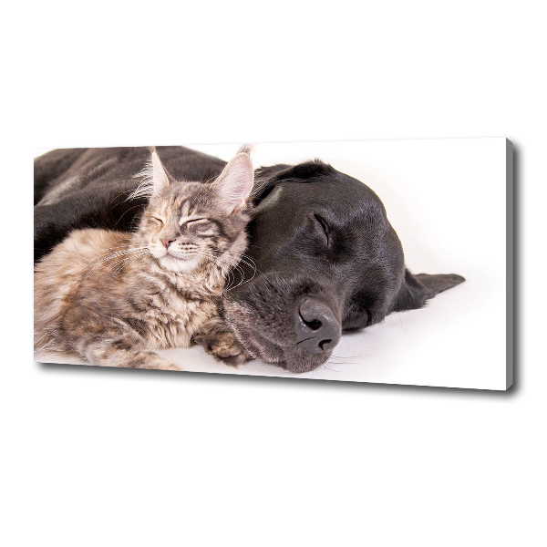Wandbild Hund mit Katze