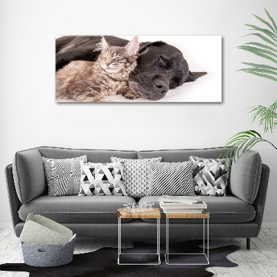 Wandbild Hund mit Katze