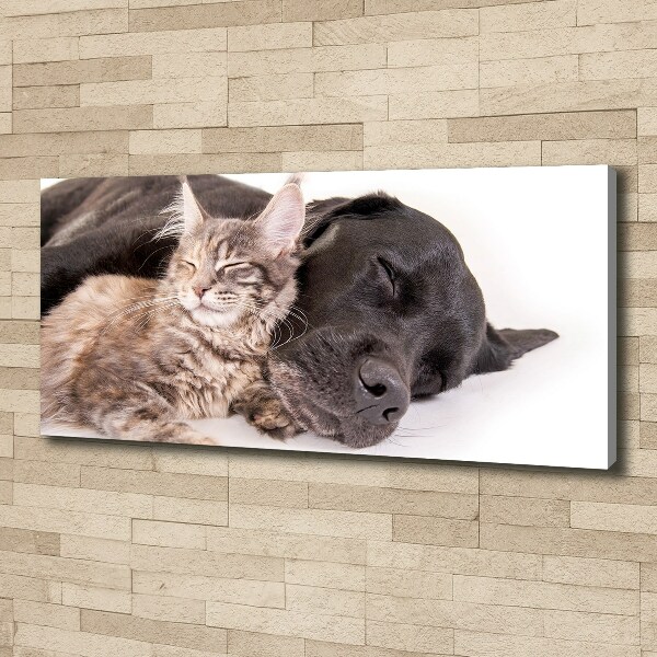 Wandbild Hund mit Katze