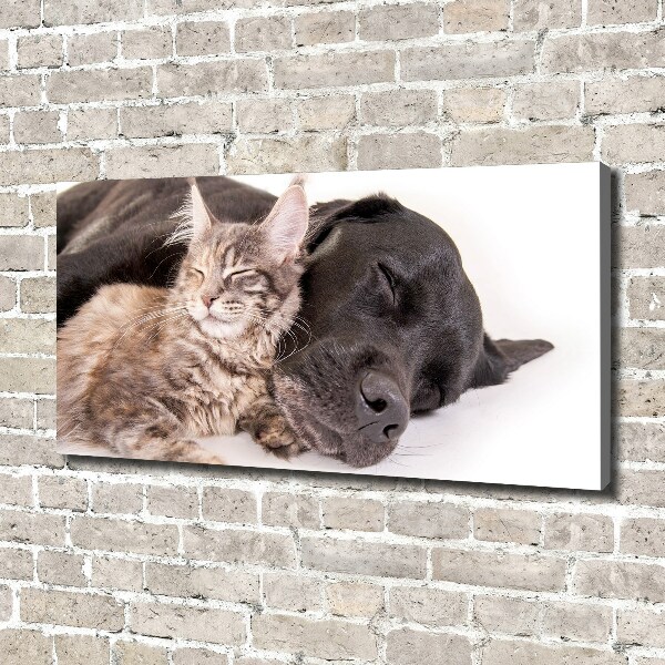 Wandbild Hund mit Katze