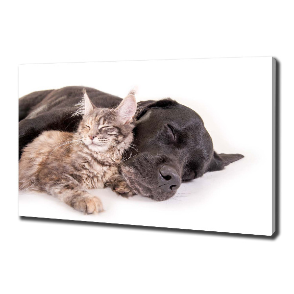 Wandbild Hund mit Katze
