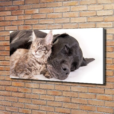 Wandbild Hund mit Katze