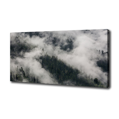 Wandbild Nebel über dem Wald