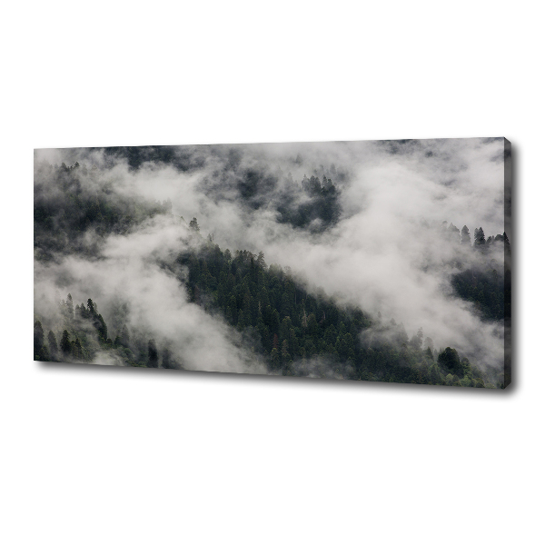 Wandbild Nebel über dem Wald