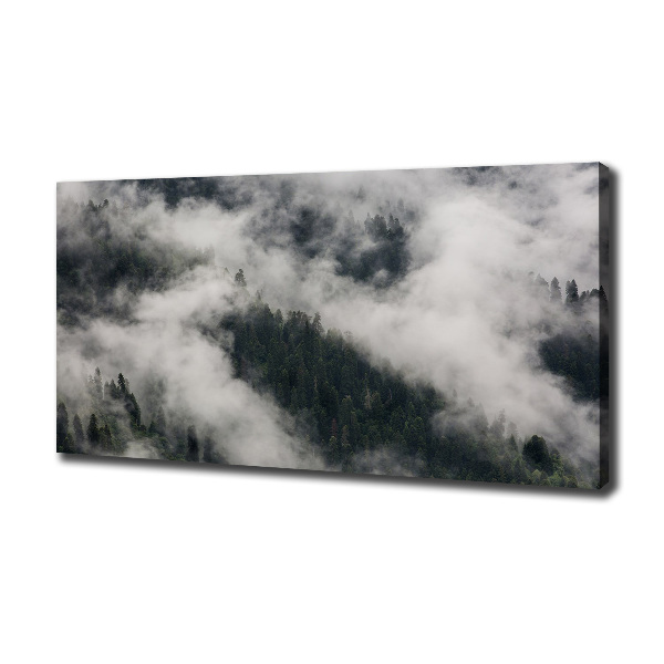 Wandbild Nebel über dem Wald