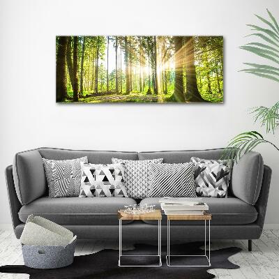 Bild auf leinwand Wald in der Sonne