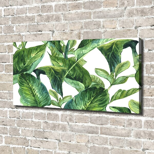 Bild auf leinwand Blätter