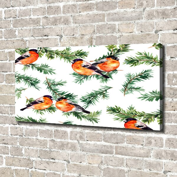 Wandbild Rotkehlchen auf einer Nadelbaum