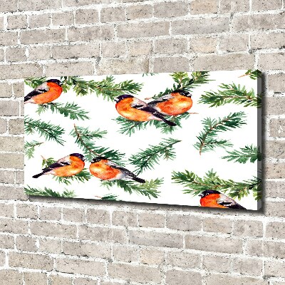 Wandbild Rotkehlchen auf einer Nadelbaum