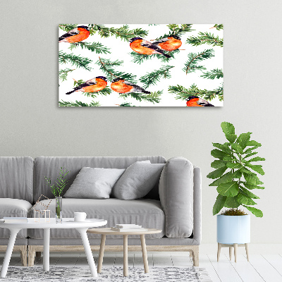 Wandbild Rotkehlchen auf einer Nadelbaum