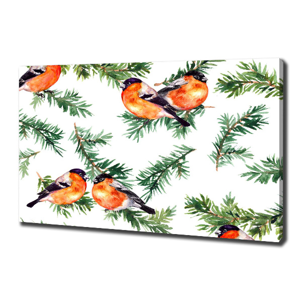 Wandbild Rotkehlchen auf einer Nadelbaum