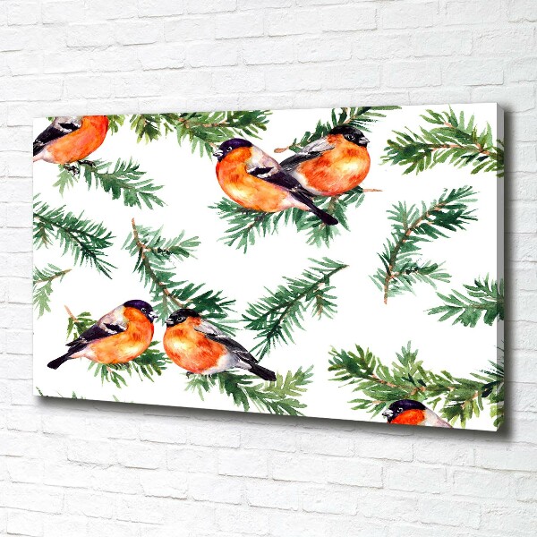 Wandbild Rotkehlchen auf einer Nadelbaum