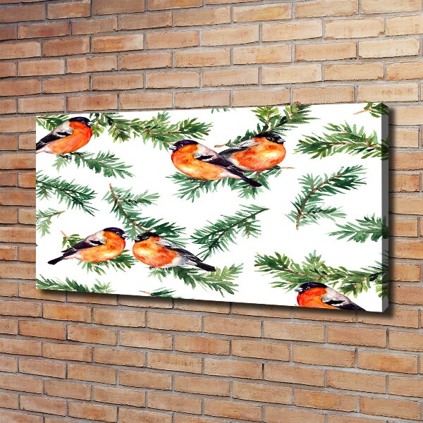 Wandbild Rotkehlchen auf einer Nadelbaum