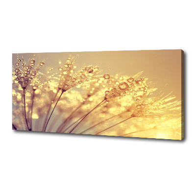 Wandbild Löwenzahnsamen