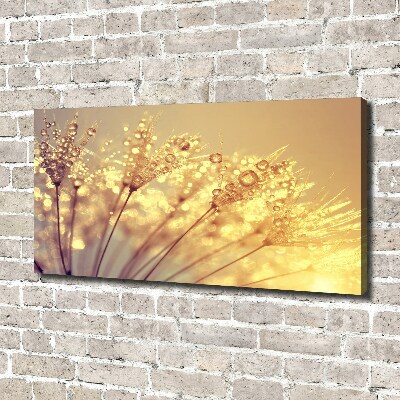 Wandbild Löwenzahnsamen