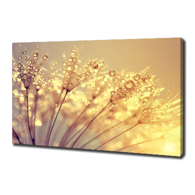 Wandbild Löwenzahnsamen