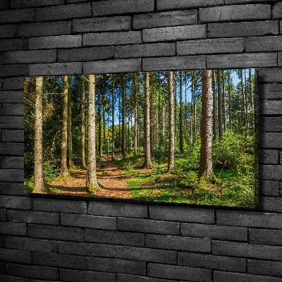 Fotobild Waldpanorama