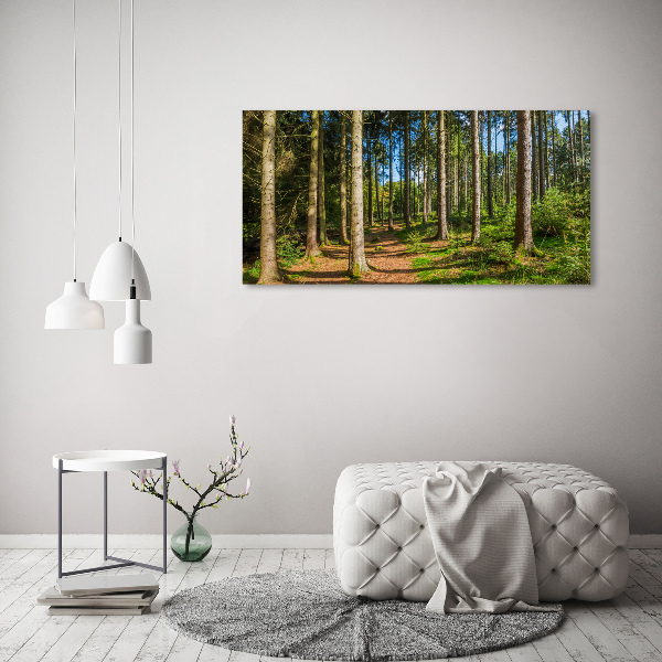 Fotobild Waldpanorama
