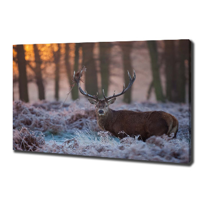 Bild auf leinwand Hirsche bei Sonnenaufgang